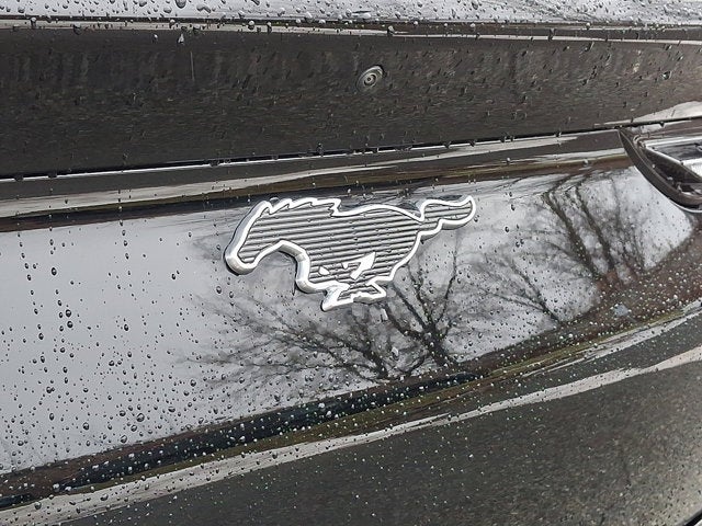 2021 Ford Mustang Mach-E Select